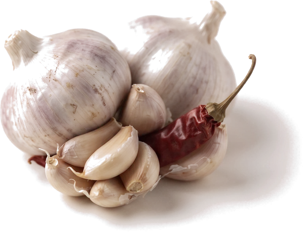 Garlic