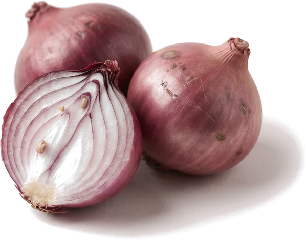 Onion